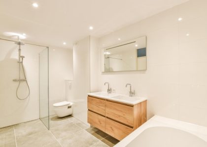 Accessible Bathrooms: Remodeling for All